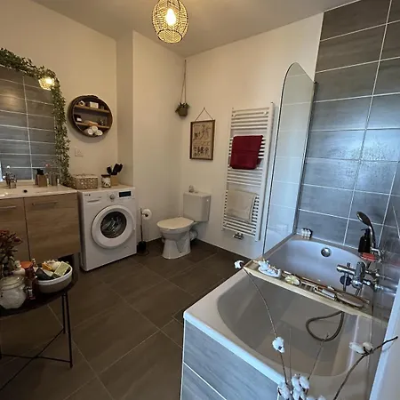Lägenhet Nid Douillet - Terrasse Sejour Au - Proche De Lyon *