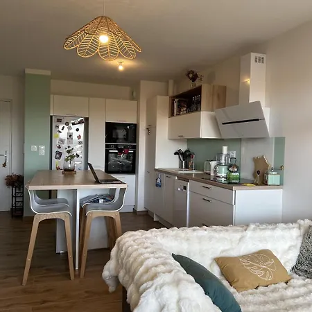 Lägenhet Nid Douillet - Terrasse Sejour Au - Proche De Lyon *